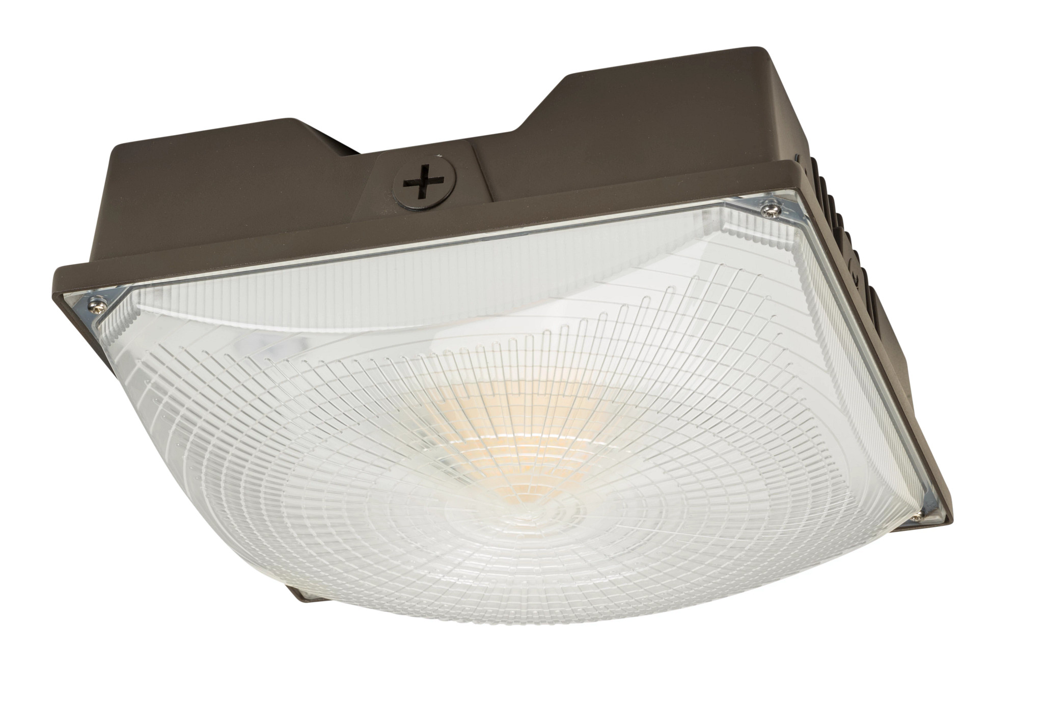  - Canopy Lights